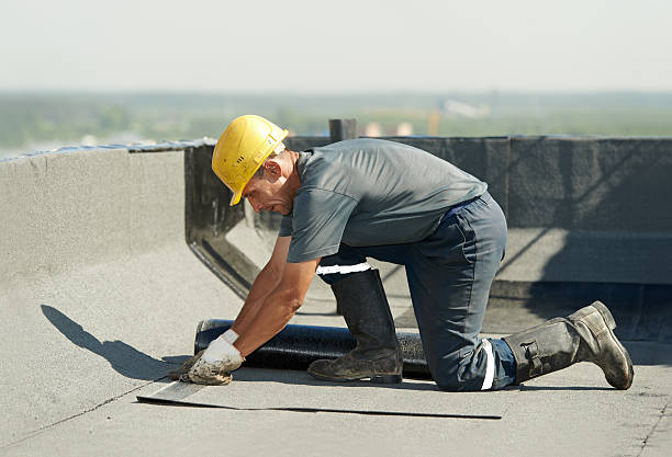 Best Insulation Maintenance and Repair in Seabrook, TX