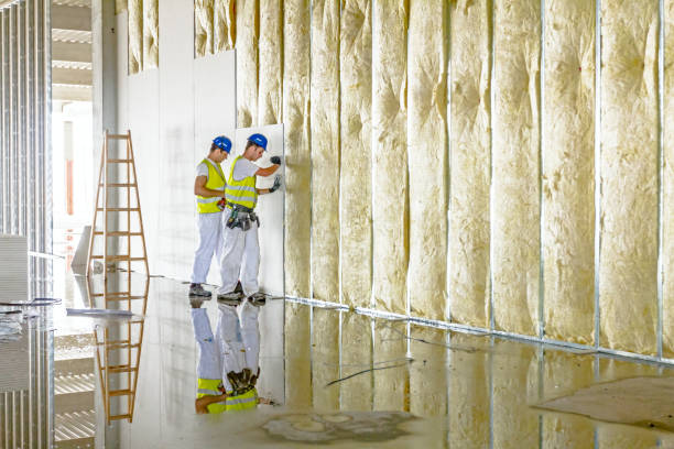Best Types of Insulation in Seabrook, TX